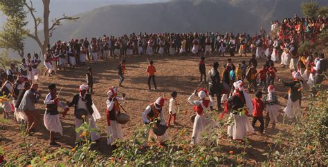 Image result for Bhola Naach Programme