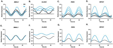 In Vitro Circadian Clock Gene Expression Assessments in Mesenchymal ...