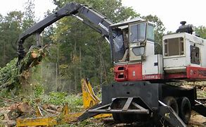 Image result for loggers