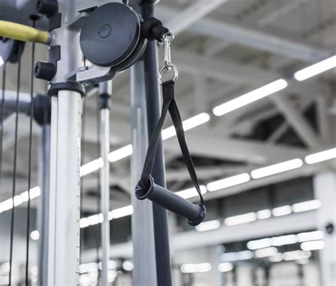 Muscle Excecise 的图像结果