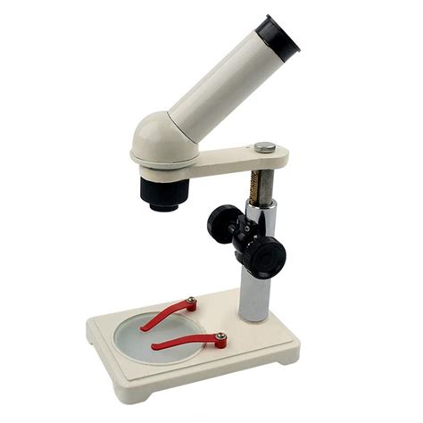 Buy MZH Educational Science Model Dissection Micro 20 Positive Image ...