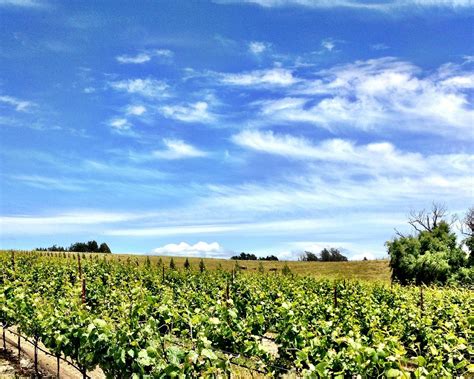 J VINEYARDS & WINERY - All You Need to Know BEFORE You Go 2026 (with ...