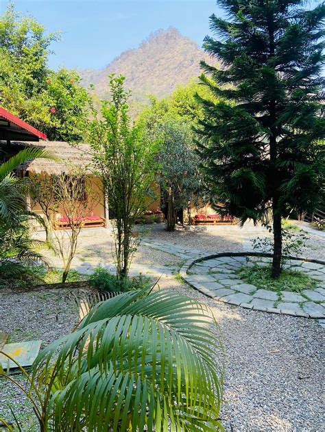 RISHIS INTERNATIONAL ECO LUXURY STAY (Rishikesh) - Cottage Reviews ...