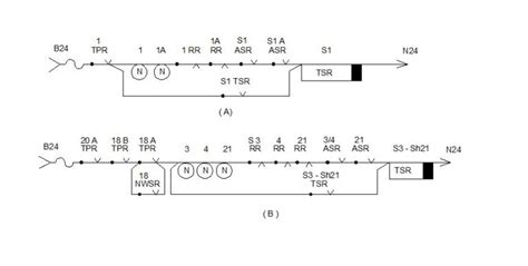 Railway Signalling SMR SMCR TSR UCR ASR ALSR UYRs OVSR OVJSLR Circuits ...