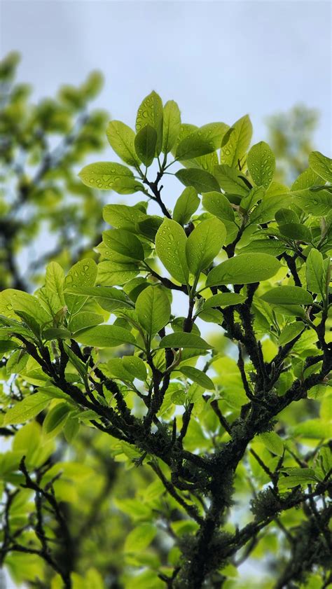 Image result for Process Optimization Profile Background