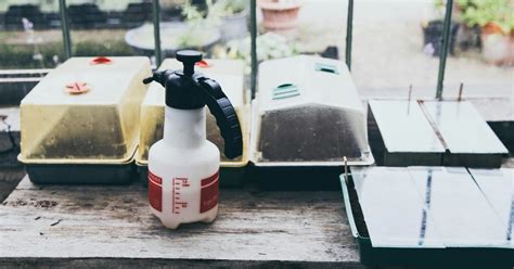 6 Homemade Weed Killers: Natural, Safe, Non-Toxic DIY Weed Killers ...