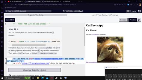 Image result for Step 54 Freecodecamp Python