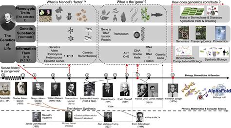 Gregor Mendel Mendel: The Father Of Modern Genetics Formed