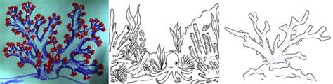 Image result for Draw Coral Reef