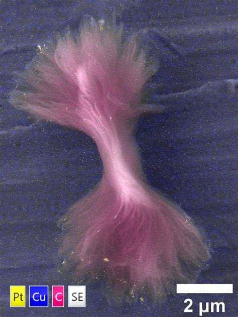 Microglaze 的图像结果