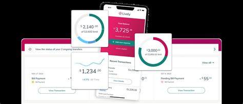 Best Individual & Family HSA Account | Lively