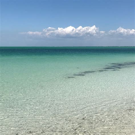 ANCLOTE KEY PRESERVE STATE PARK (2026) All You Need to Know BEFORE You ...