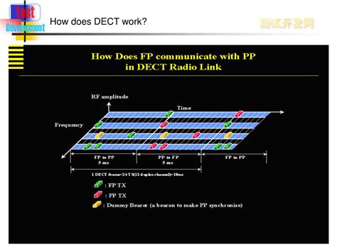 DECT Decoder 的图像结果