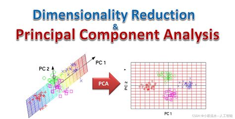 PCA Python Tutorial に対する画像結果