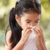 why Are allergies increasing ?Babies and Allergies