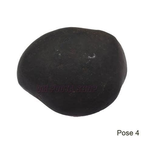 Narasimha Rupam Shaligram Stone