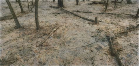 Summer Exhibitions: Rosemary Laing: The Paper (small gallery), Drawings ...