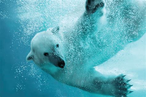 Image result for Elementary Science and Math Classroom