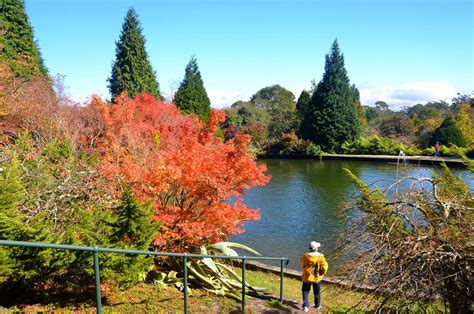 Mt Wilson Tourism (2023): Best of Mt Wilson, Australia - Tripadvisor