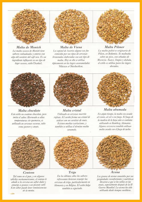 Cerveza de cebada: conoce sus variedades y características | CERVEZAPASION