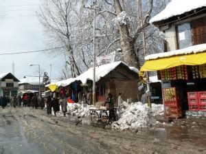 Some More Kashmir Photos | Sarson ke Khet