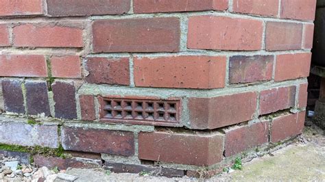 Image result for Damp Course Problems