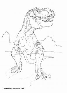 malvorlagen dinosaurier t rex t rex malvorlage das beste 24 ausmalbilder dinosaurier malvorlagen dinosaurier t rex t rex malvorlage das beste 24 ausmalbilder dinosaurier