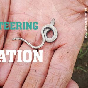 Reed Bed Cut & Rake at Trap Grounds, Trap Grounds, Oxford, 15 September ...