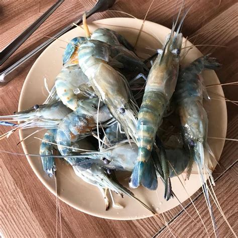 udang galah masakan