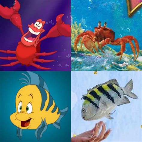 I don't care about Ariel being black in The Little Mermaid remake, the ...