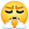 😤 Face with steam from nose emoji copy paste png download