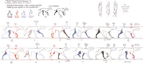 The Advanced Animation Skills Workshop: The Quadruped Walk Cycle: week ...