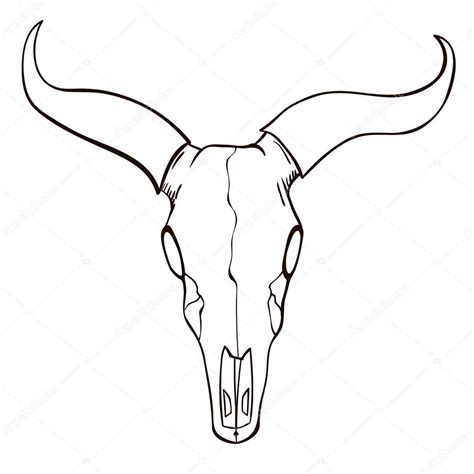 Cow Skull Drawing | Free download on ClipArtMag