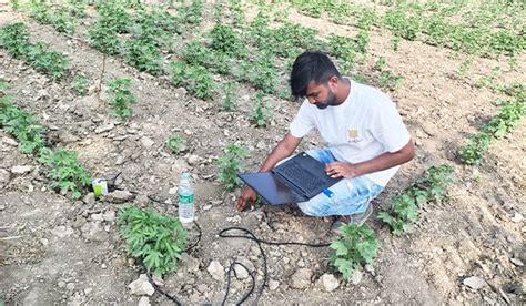 Smart Farming Solutions for Modern Agriculture | eCrop