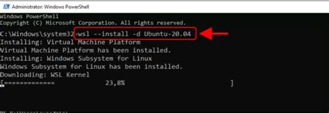 Image result for Windows Server Linux