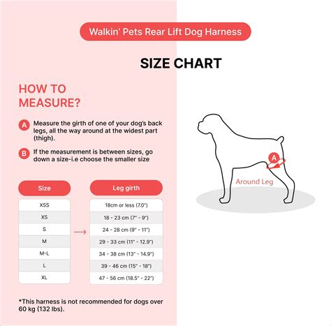 Walkin' Pets Rear Lift Dog Harness – Oliver Pet Care Solutions Pvt Ltd