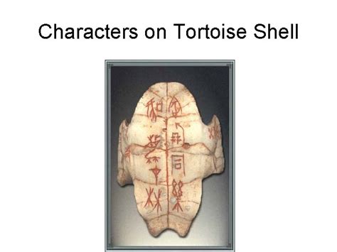 Tortoise Shell Characters 的图像结果