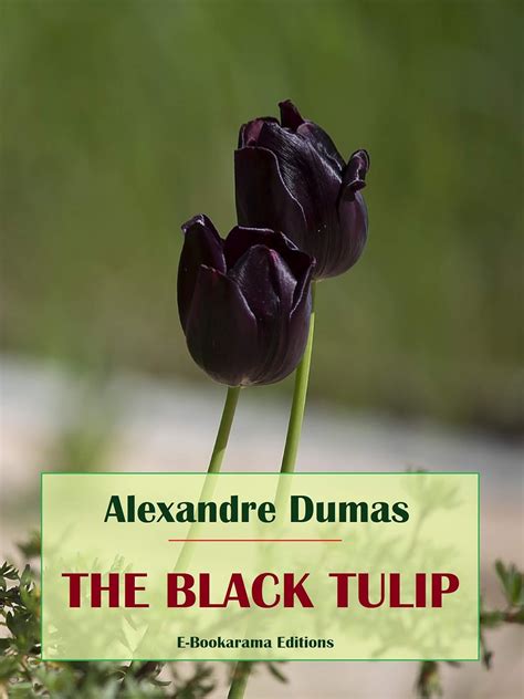 Amazon | The Black Tulip (English Edition) [Kindle edition] by Dumas ...