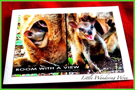 Endangered Aussie Animals Project - LittleWanderingWren