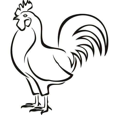 How To Draw A Hen Video at Joe Wilbanks blog