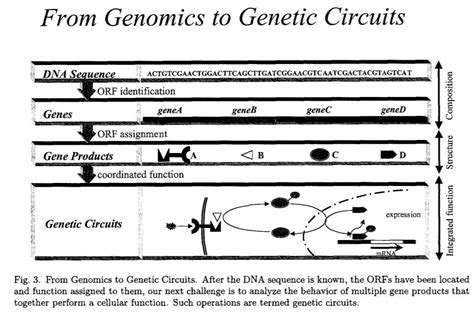 Bioengineering Processes 的图像结果