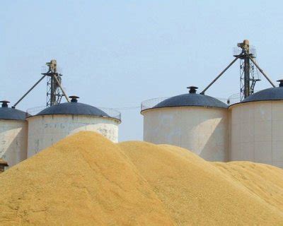 粮食怎样储存?探访"大国粮仓"-中国新型肥料网