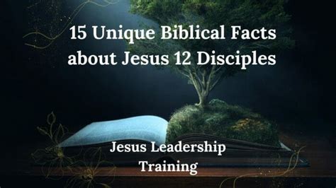 Image result for 12 Disciples Facts