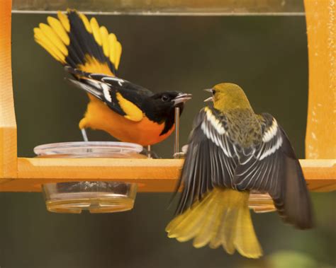 Image result for Class 10 Science Chapter 8 by Success CDs