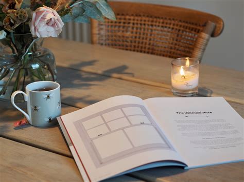 Top 10 Modern Kitchen Window Ideas | Rose Collection Kitchen Windows