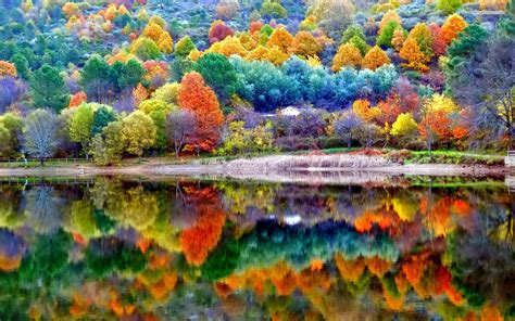 Image result for Beautiful Autumn Fall