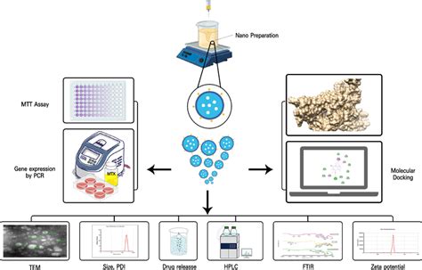 Image result for Graphical Absract