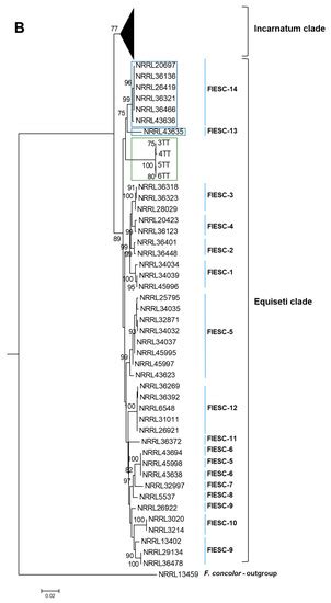 Pathogens | Special Issue : Fusarium: Pathogenomics and Inherent Resistance