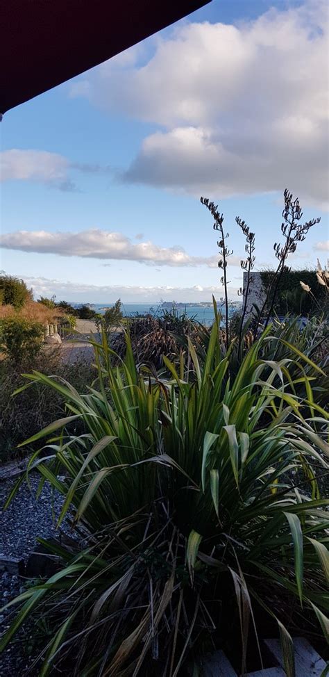 KORU HIDEAWAY (Matakana) - Inn Reviews & Photos - Tripadvisor