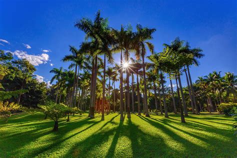 中国最大植物园之一，中科院西双版纳热带植物园